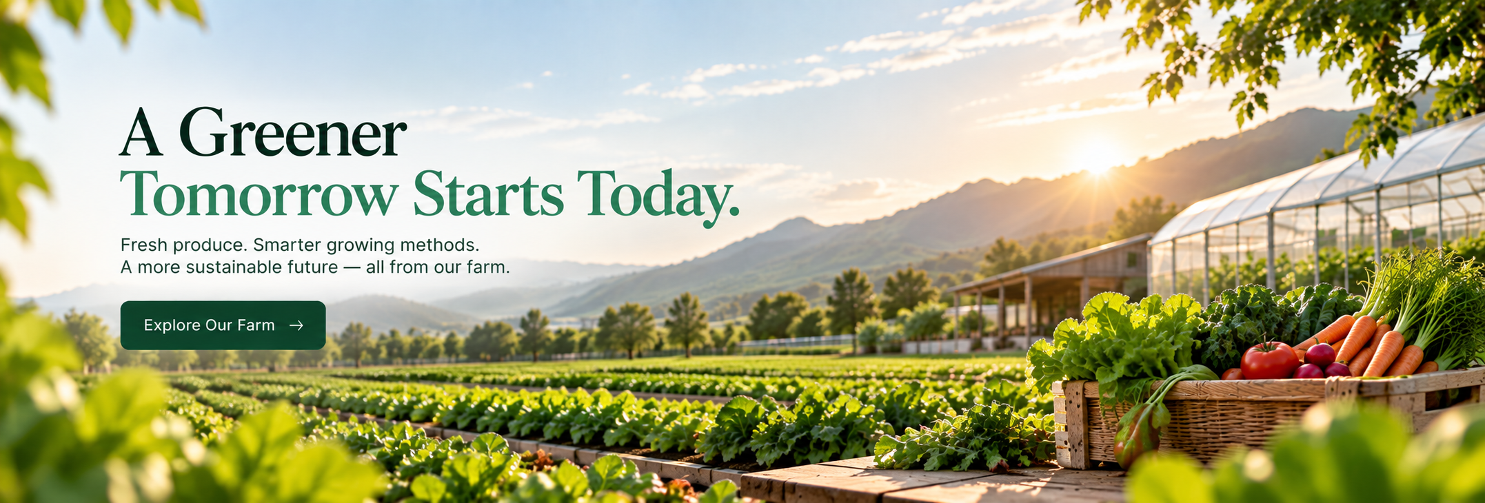 A greener tomorrow starts today — fresh produce and smarter growing methods from our farm in Murthal, Sonipat.